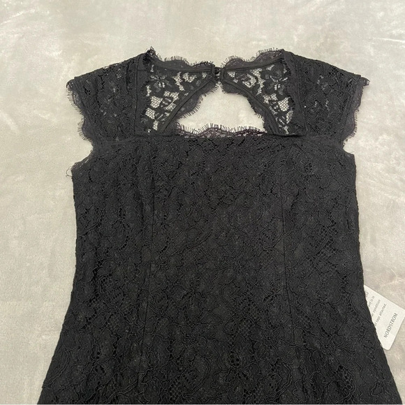Adrianna Papell Black Lace Mini Dress - Picture 5 of 13